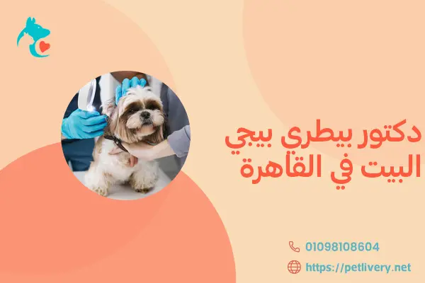 دكتور بيطري بيجي البيت في القاهرة