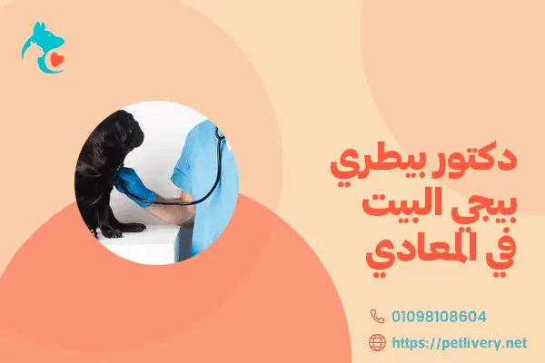 دكتور بيطري بيجي البيت في المعادي