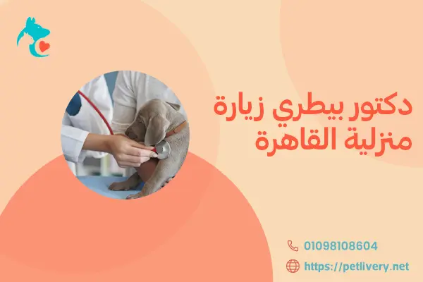 دكتور بيطري زيارة منزلية القاهرة
