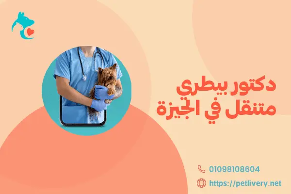 دكتور بيطري متنقل في الجيزة