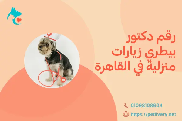 رقم دكتور بيطري زيارات منزلية في القاهرة