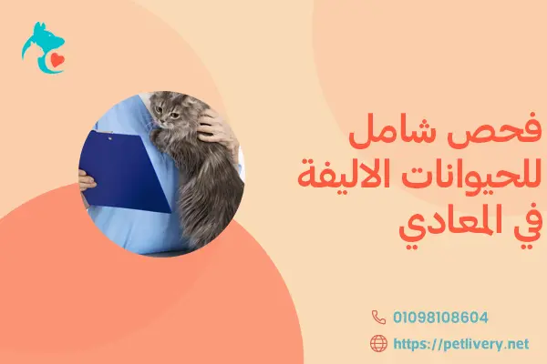فحص شامل للحيوانات الاليفة في المعادي