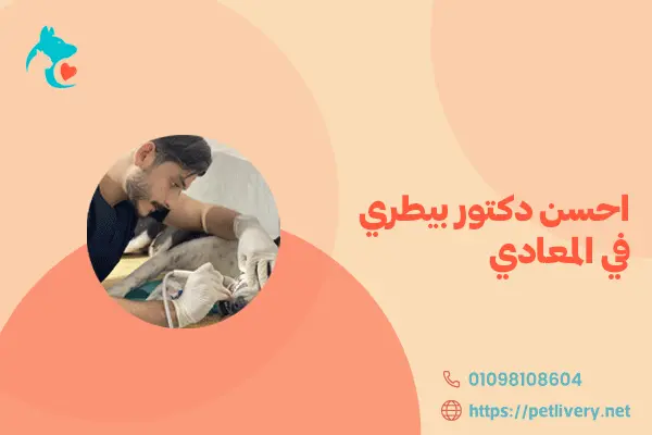 احسن دكتور بيطري في المعادي