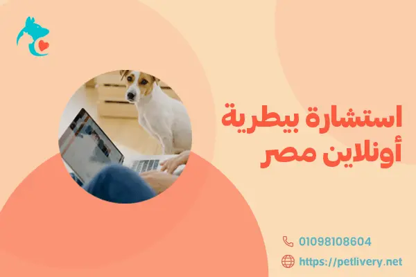 استشارة بيطرية أونلاين مصر