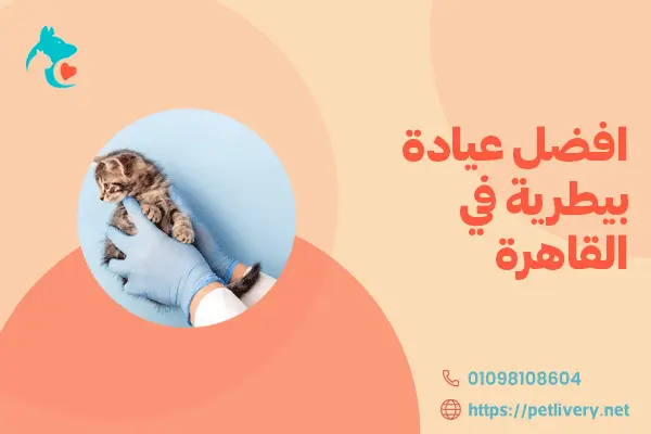 افضل عيادة بيطرية في القاهرة