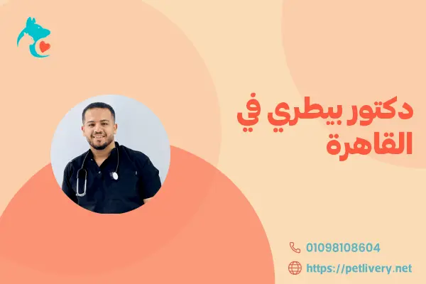 دكتور بيطري في القاهرة