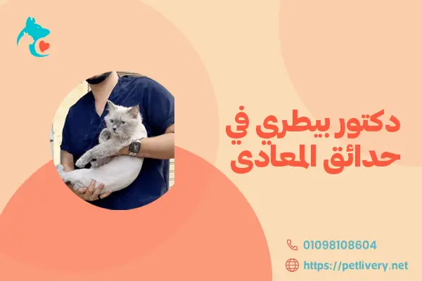 دكتور بيطري في حدائق المعادى