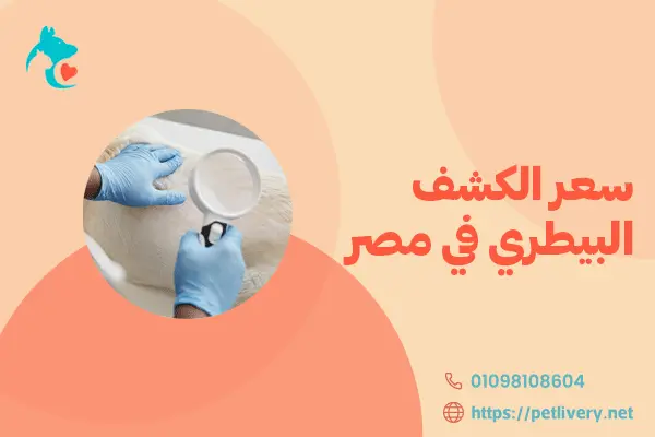 سعر الكشف البيطري في مصر