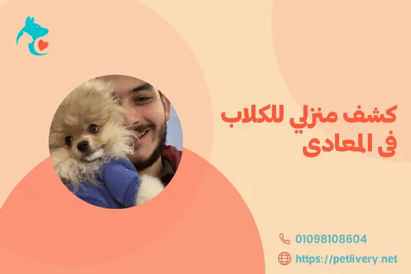 كشف منزلي للكلاب فى المعادى