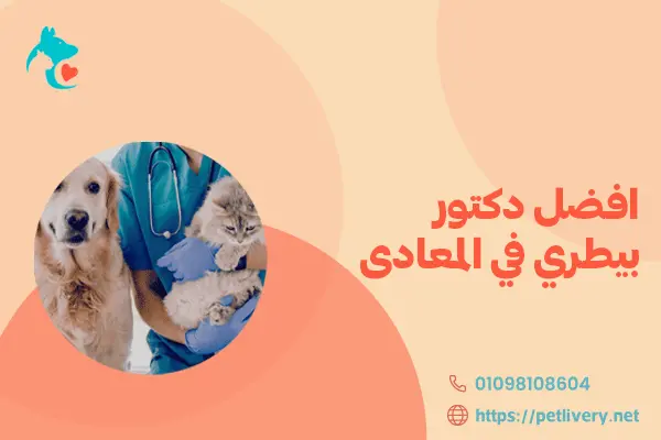 افضل دكتور بيطري في المعادى