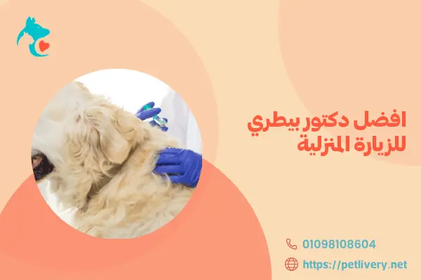 افضل دكتور بيطري للزيارة المنزلية