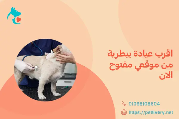 اقرب عيادة بيطرية من موقعي مفتوح الان
