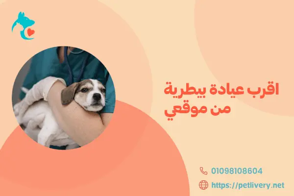 اقرب عيادة بيطرية من موقعي