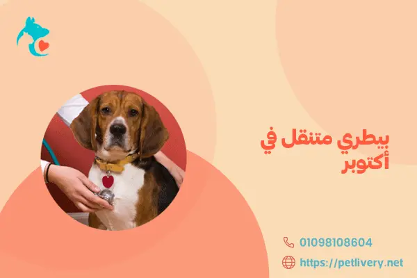 بيطري متنقل في أكتوبر