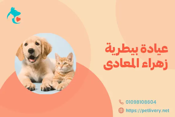 عيادة بيطرية زهراء المعادى