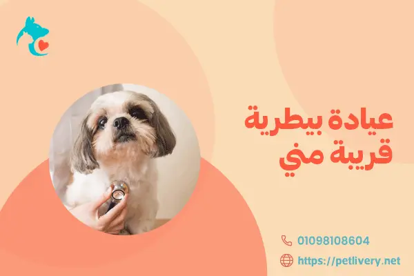 عيادة بيطرية قريبة مني