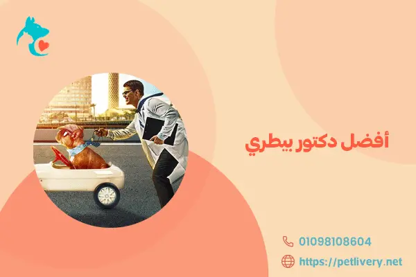 أفضل دكتور بيطري