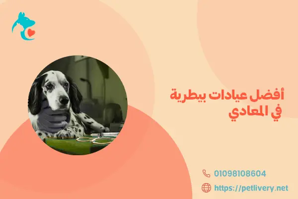 أفضل عيادات بيطرية في المعادي