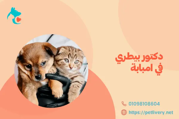 دكتور بيطري في امبابة