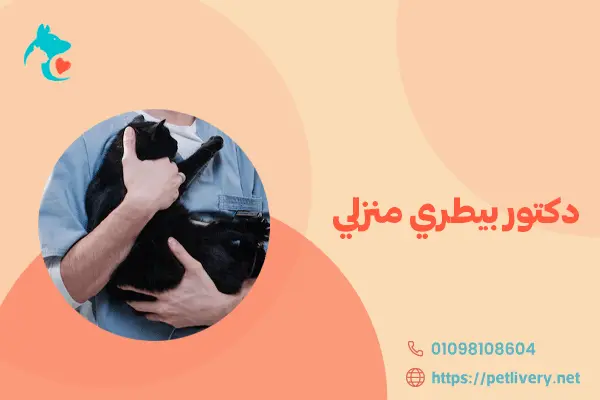دكتور بيطري منزلي