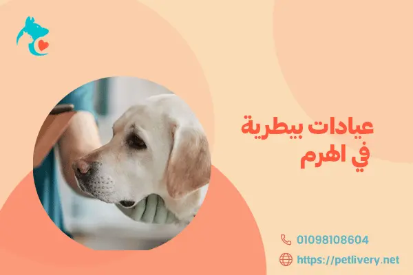عيادات بيطرية في الهرم