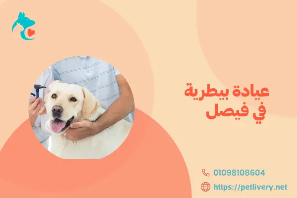 عيادة بيطرية في فيصل