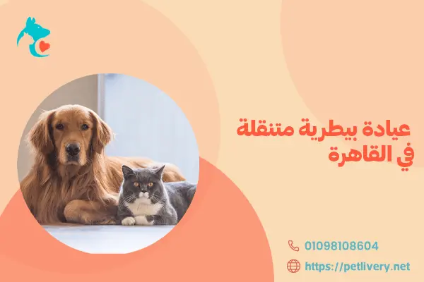 عيادة بيطرية متنقلة في القاهرة