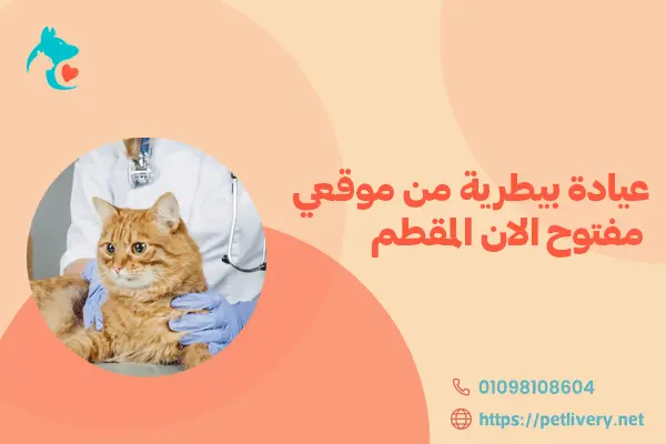 عيادة بيطرية من موقعي مفتوح الان المقطم