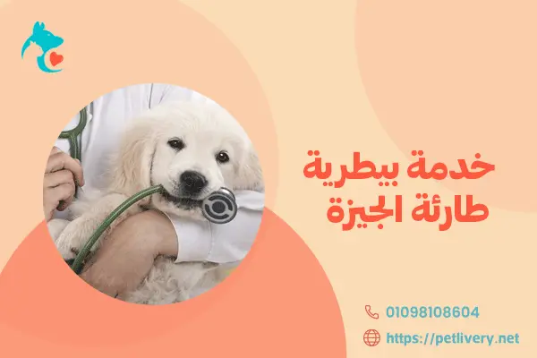خدمة بيطرية طارئة الجيزة
