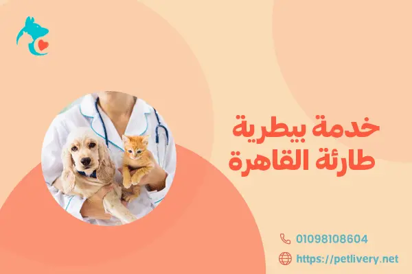 خدمة بيطرية طارئة القاهرة
