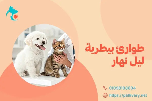 طوارئ بيطرية ليل نهار