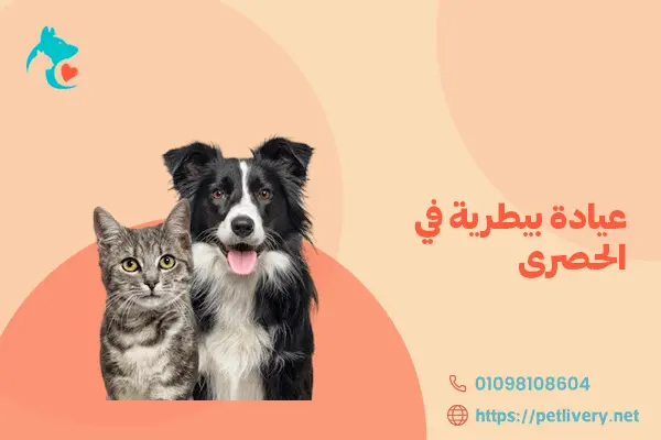 عيادة بيطرية في الحصرى