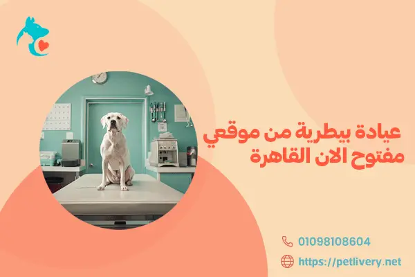عيادة بيطرية من موقعي مفتوح الان القاهرة