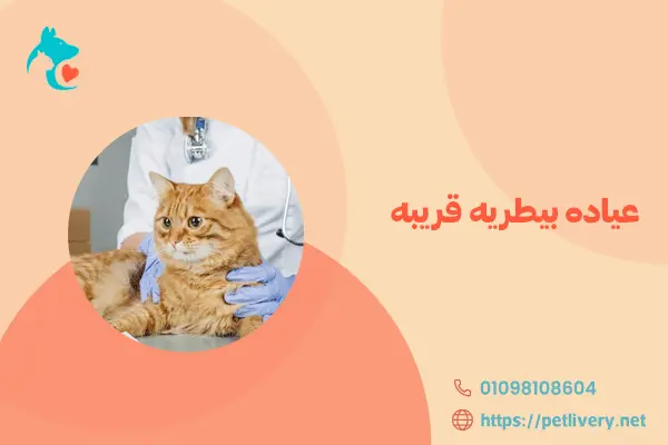 عياده بيطريه قريبه