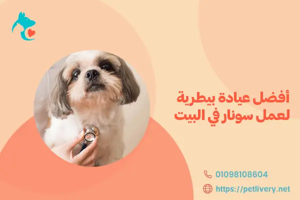 أفضل عيادة بيطرية لعمل سونار في البيت