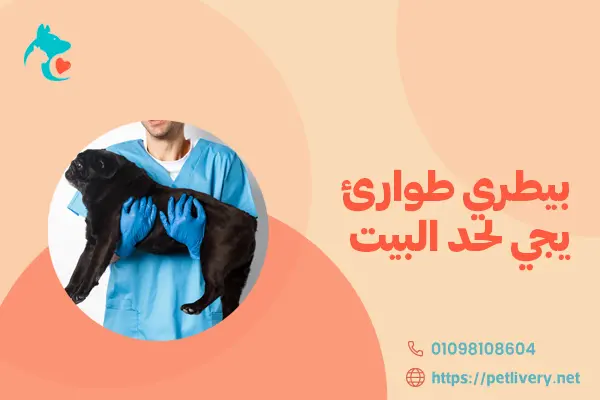 بيطري طوارئ يجي لحد البيت