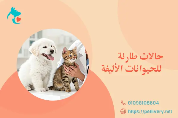 حالات طارئة للحيوانات الأليفة