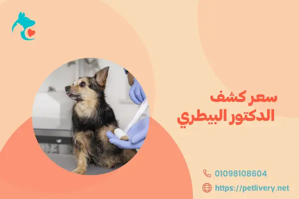 سعر كشف الدكتور البيطري