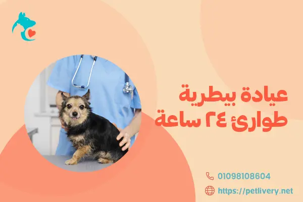 عيادة بيطرية طوارئ ٢٤ ساعة