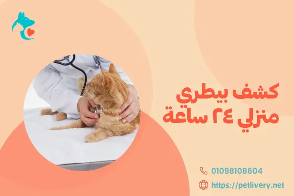 كشف بيطري منزلي 24 ساعة