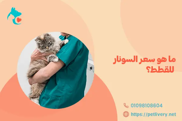 ما هو سعر السونار للقطط