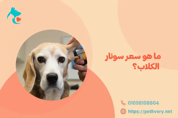 ما هو سعر سونار الكلاب