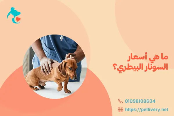 ما هي أسعار السونار البيطري