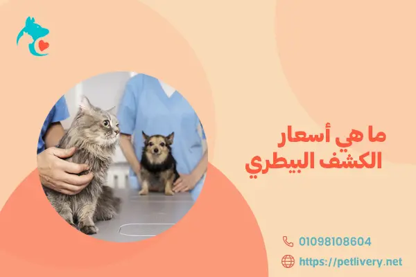 ما هي أسعار الكشف البيطري