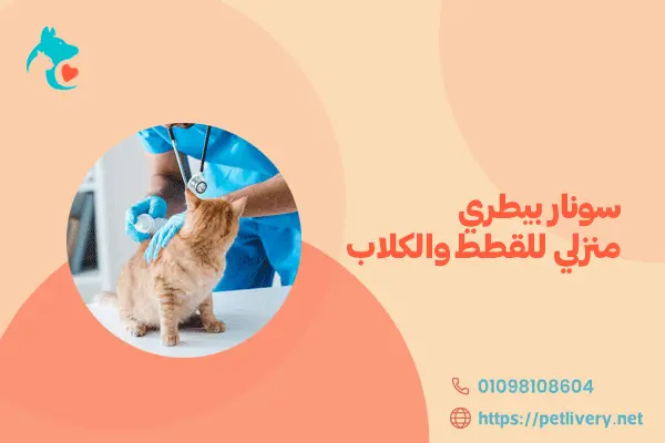 سونار بيطري منزلي للقطط والكلاب