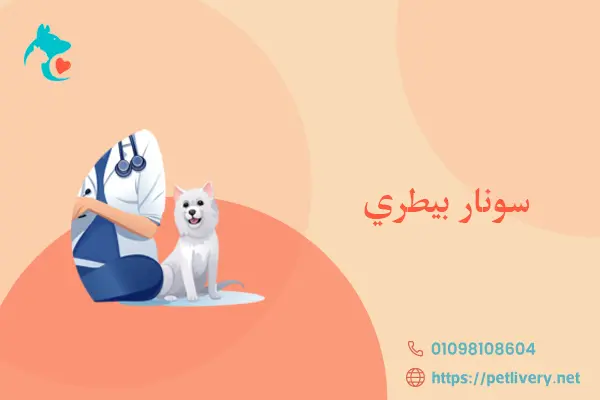 سونار بيطري