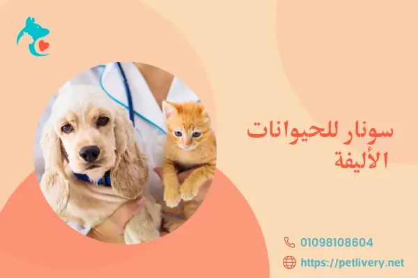 سونار للحيوانات الأليفة