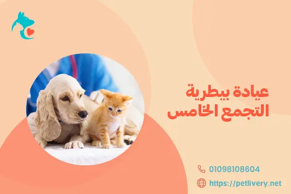 عيادة بيطرية التجمع الخامس