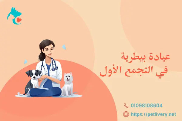 عيادة بيطرية في التجمع الأول