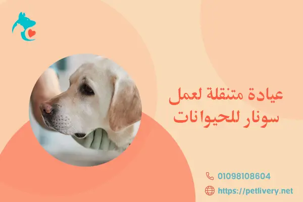 عيادة متنقلة لعمل سونار للحيوانات